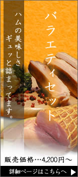 �o���G�e�B�Z�b�g